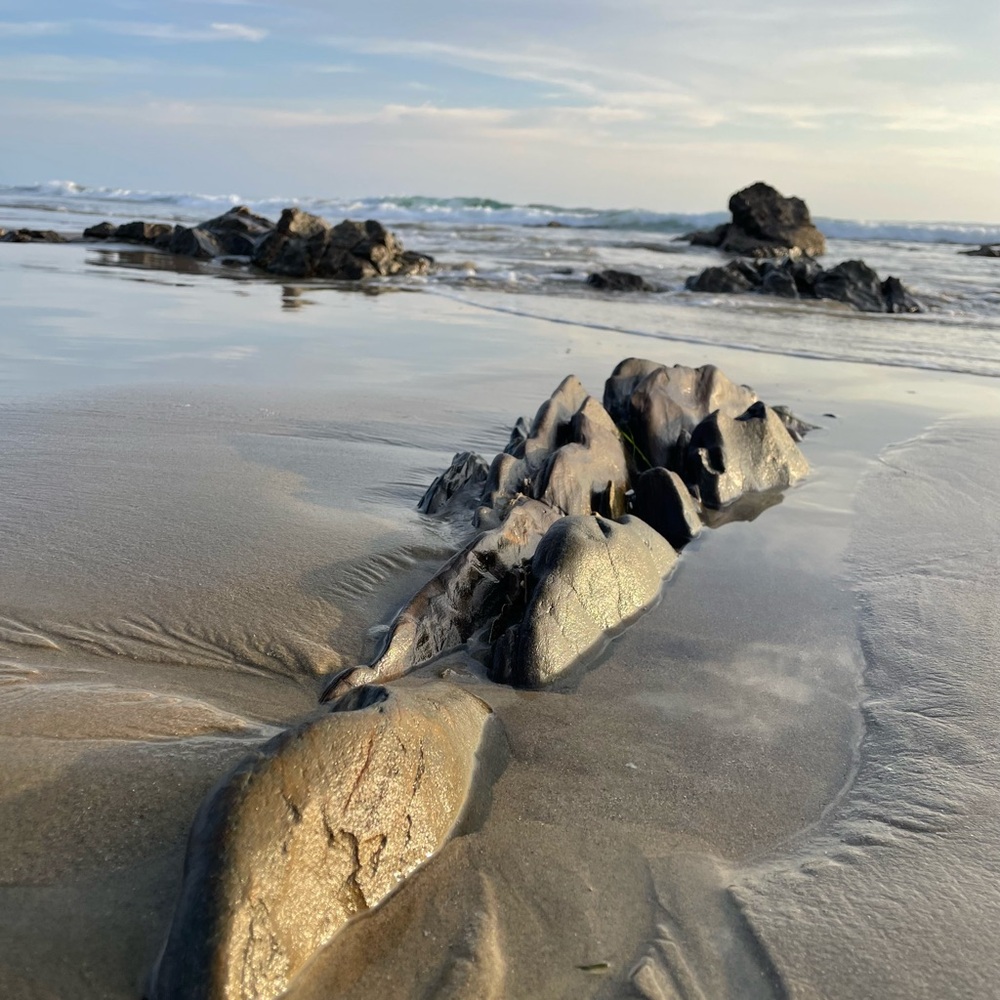 Meet your Posher, Kimmy